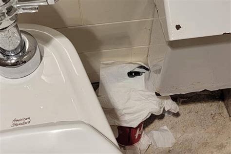 nashville woman finds camera in bathroom|camera found in bathroom.